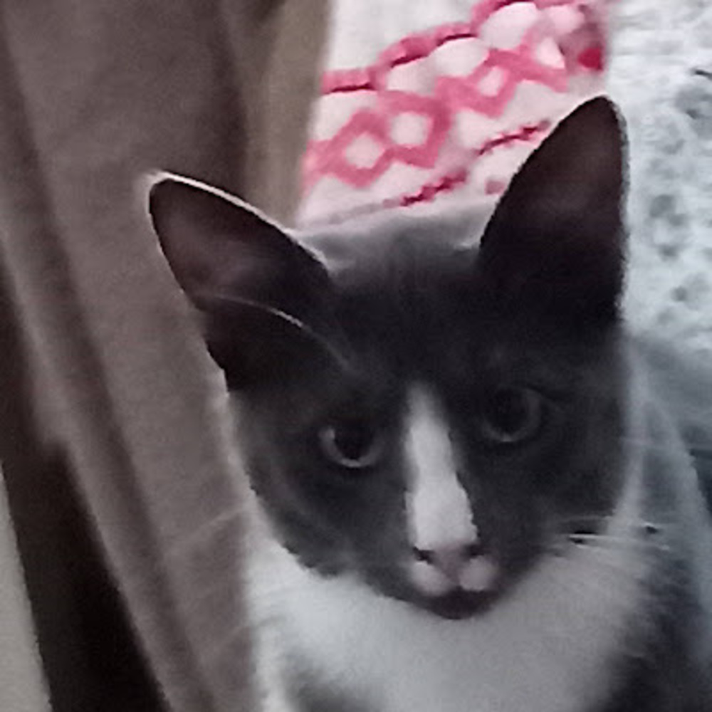 Meet your Posher, Joann